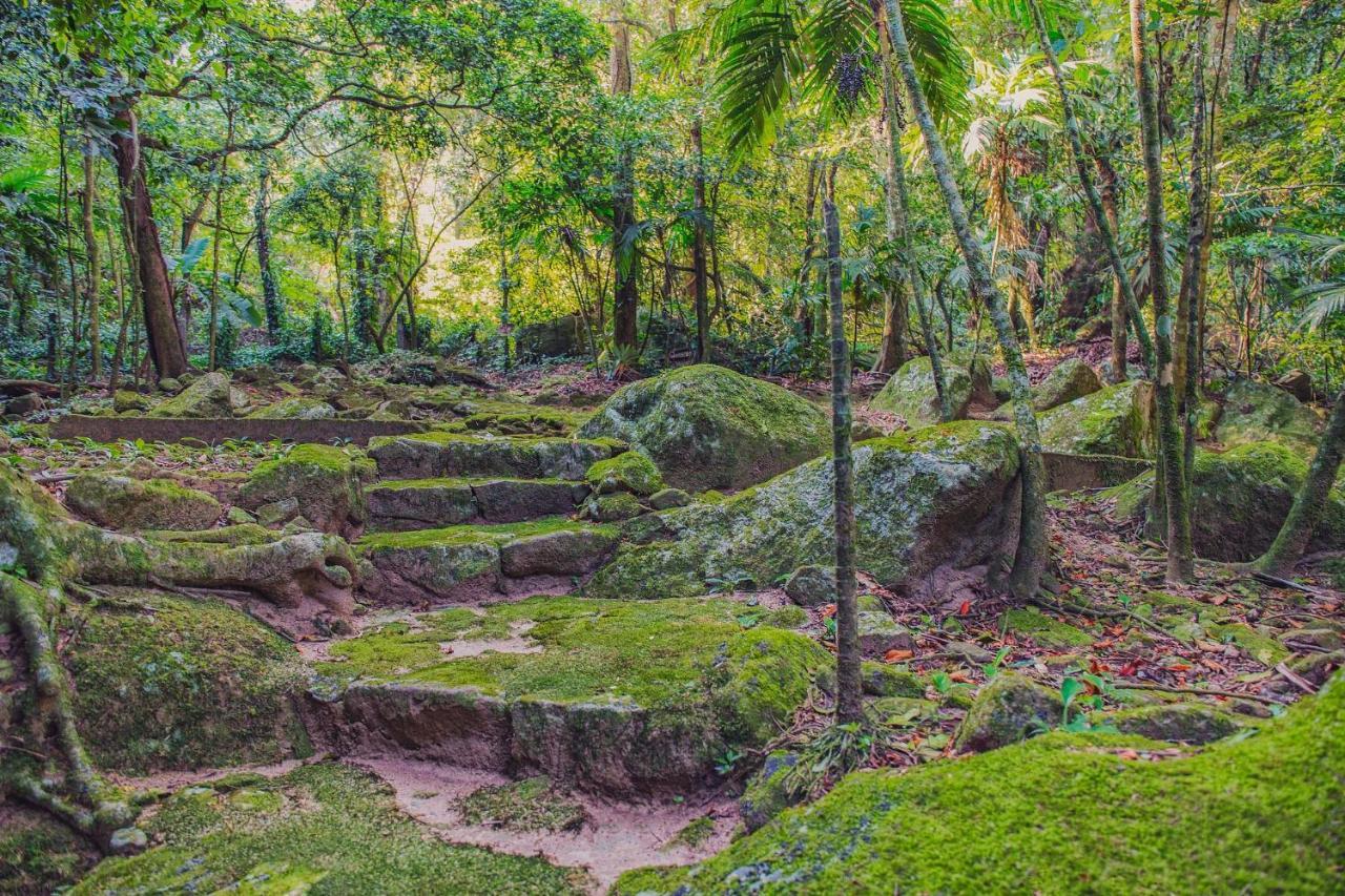 Sitio Serra Orgaos Com Rio Aguas Cristalinas Guapimirim Extérieur photo
